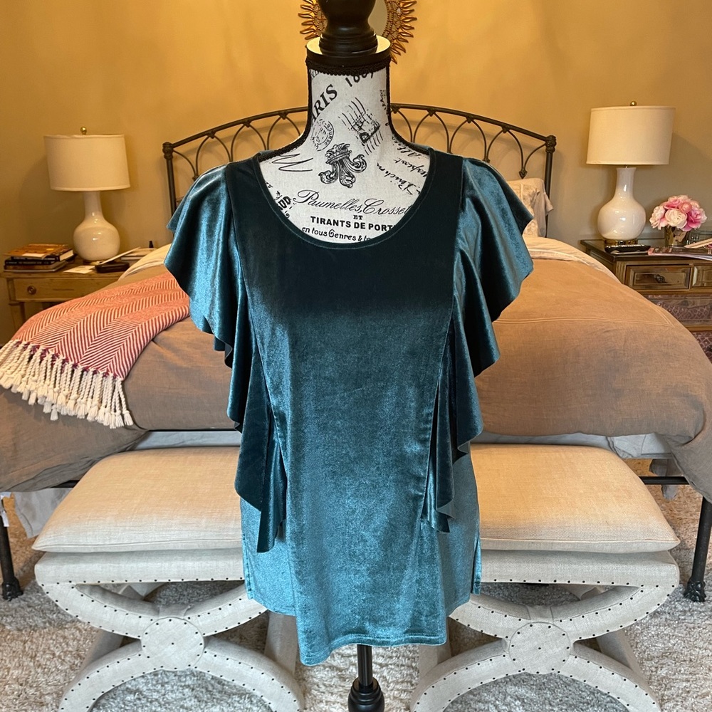 NWT Velvet Top with ruffled sleeve MED